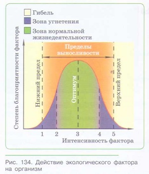 ЗАКОНОМЕРНОСТИ влияния ЭКОЛОГИЧЕСКИХ ФАКТОРОВ НА ОРГАНИЗМЫ_001